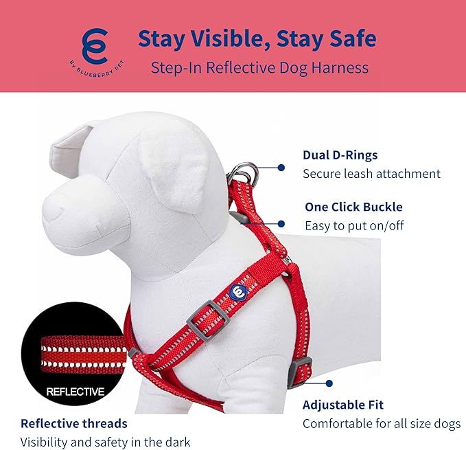 Blueberry Pet Essentials Reflective Back to Basics Matching Dog Harness and Leash Set, Rouge Red, Adjustable Harness with 5 ft Leash for Medium Dogs