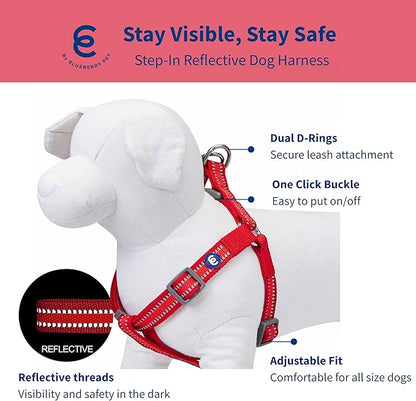 Blueberry Pet Essentials Reflective Back to Basics Matching Dog Harness and Leash Set, Rouge Red, Adjustable Harness with 5 ft Leash for Medium Dogs