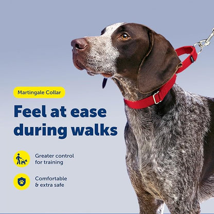 PetSafe Adjustable Martingale Collar - Only Tightens When Dogs Pull, Prevents Slipping Out - Helps with Strong Pullers, Increased Control - Alternative to Choke Collar - 3/4", Medium, Deep Purple