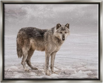 Stupell Industries Lone Coyote Wolf Snowy Field Landscape Intricate Details Floating Framed Wall Art, Design By Kelley Parker