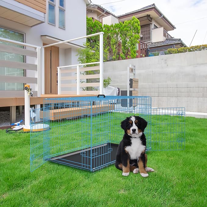 PayLessHere Large Dog Crate Kennel for Medium Large Dogs 36 inches Metal Dog Cage Double-Door Folding Travel Indoor Outdoor Puppy Playpen with Divider and Handle Plastic Tray,Blue