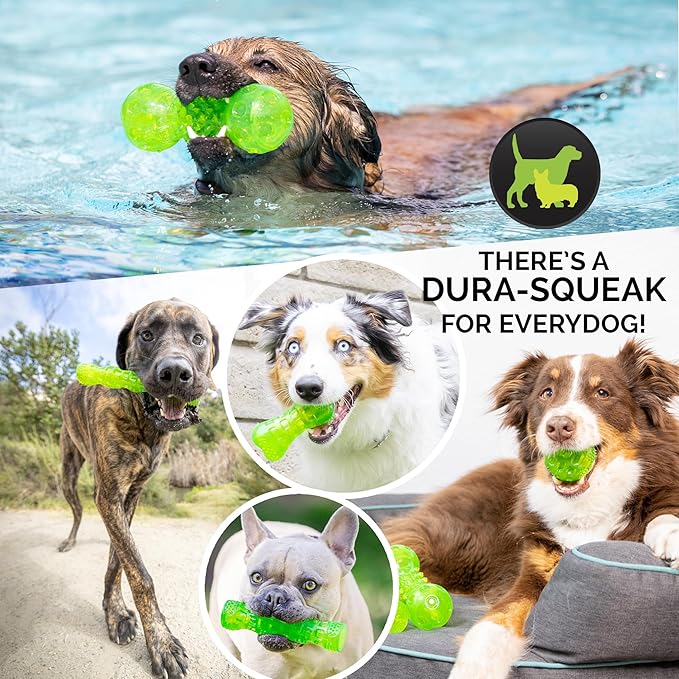 Hyper Pet Dura-Squeaks Stick Dog Toy, Large, Green
