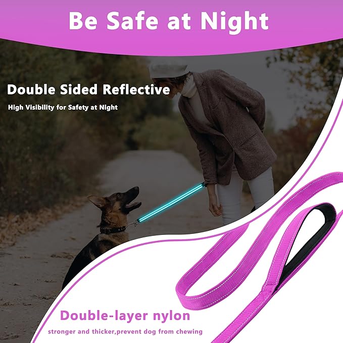 Dog Leash 6.5ft Long, Double Handle Dog Leash for Safety Control Training, Heavy Duty Dog Leads with Traffic Padded Handles, Reflective Leashes for Small Medium Large Dogs(6.5ft, Rosered)