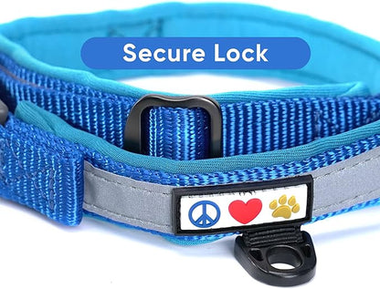 Pawtitas Lumberjack Padded Martingale Collar for Dogs | Soft Neoprene Dog Collar for Your pet's Comfort Made with Reflective Band for Maximum Visibility | Fits Small and Large Pets - XXS Blue