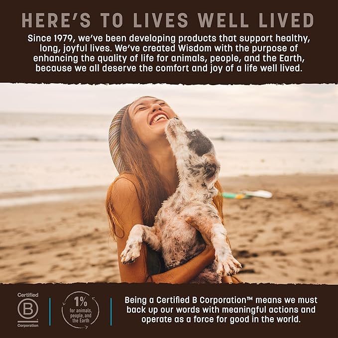 Earth Animal Wisdom Air Dried Jerky - From the Sea Recipe Premium Natural Fish Jerky Strips Dog Treats - 3 Pack 4 oz Bag