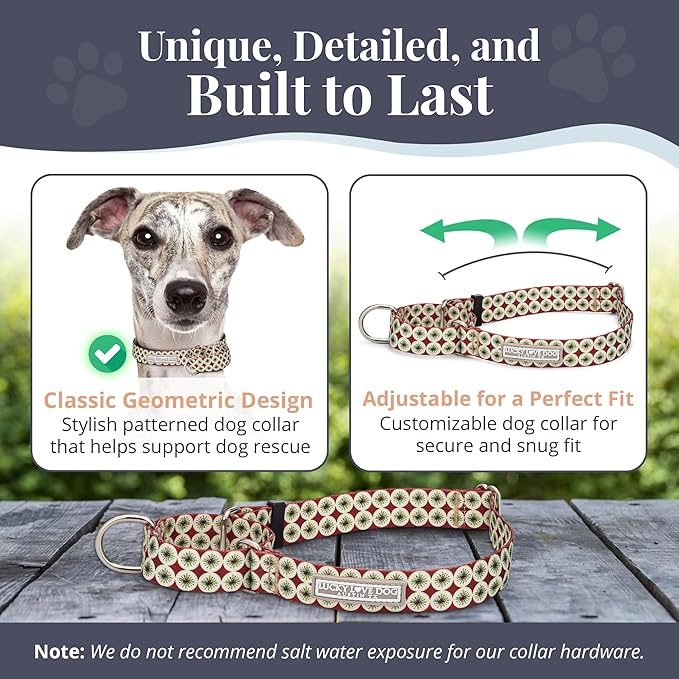 Lucky Love Dog Martingale Dog Collar - Adjustable, No-Slip, Durable, & Soft Webbing Collar for Male and Female Dogs Ideal for Training & Walking - in Unique Pongo Pattern, Medium Size