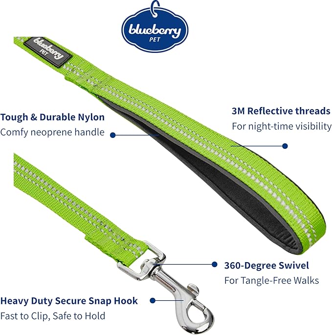 Blueberry Pet 3M Reflective Pastel Color Dog Leash with Soft & Comfortable Handle, 5 ft x 5/8", Green Flash, Small, Leashes for Dogs