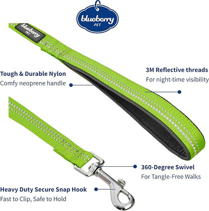 Blueberry Pet 3M Reflective Pastel Color Dog Leash with Soft & Comfortable Handle, 5 ft x 5/8", Green Flash, Small, Leashes for Dogs