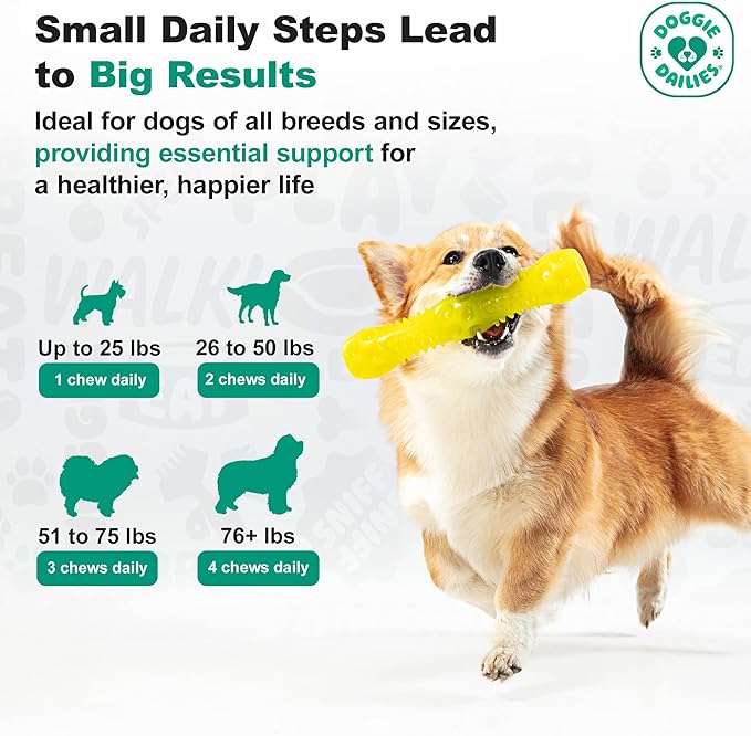 Doggie Dailies Cranberry Supplement for Dogs - Urinary Tract, Bladder & Kidney Support - Cranberry with Marshmallow Root, Licorice Root & Apple Cider Vinegar (Chicken) 225 Soft Chews