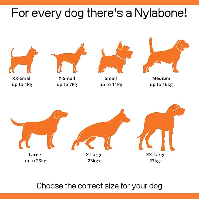 Nylabone Flex Moderate Chew Dog Toy Chicken Small/Regular (1 Count) (Pack of 4)