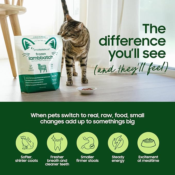 smallbatch Freeze Dried Dog Food – Lamb Recipe, Small Bites, Grain Free, Organic Produce – Grass Fed Lamb Hearts & Organs – High Protein Meal – Complete & Balanced Nutrition – 19 oz, Made in USA