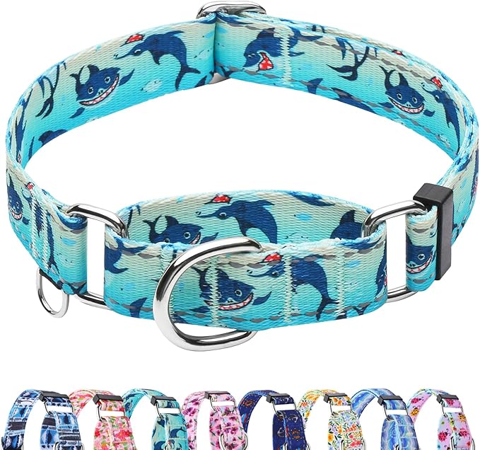 Reflective Martingale Collar for Dogs Nylon Training Collar with No Buckle, No Pull Boy Male Dog Collar for Medium Dogs（Green Shark，M）