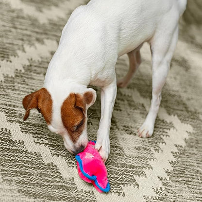 Outward Hound Durablez Minis – Squeaky Plush Dog Toy, No Stuffing for Less Mess, Interactive & Tough, Jumbo Squeaker, Puppies & Small Dogs, Pig, 6.8" (Pack of 2)