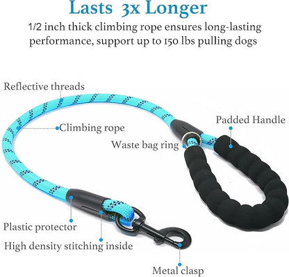 iYoShop Dual Dog Leash - 360° Swivel, No Tangle Walking Leash with Shock Absorbing Bungee for Two Dogs (Large, 25-150 lbs, Blue)