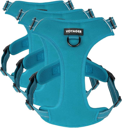 Voyager Dog Harness Dual Leash Attachment No-Pull Control Adjustable Soft but Strong Pet Harness for Medium and Large Dogs with 3M Reflective Technology - Turquoise, M (Chest: 20-25") (Pack of 3)