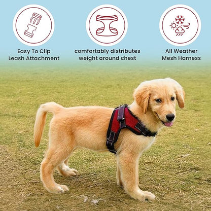 No Pull Reflective Adjustable Dog Harness with Handle- Comfortable Soft All Weather Mesh, Easy On Puppy Harness for Small Medium and Large Dogs (Red) Small