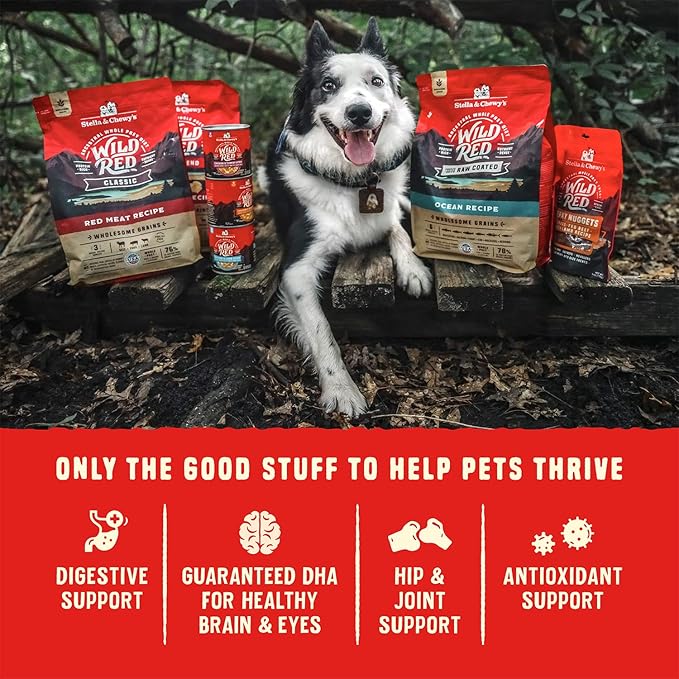 Stella & Chewy's Wild Red Raw Blend Kibble - Premium Freeze-Dried Raw Coated Dog Food - Perfect For Picky Eaters - High Protein Grain Free with 6 Poultry Sources - 21lb Bag