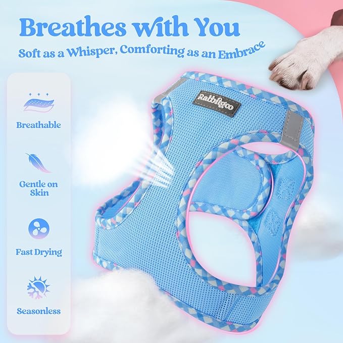 rabbitgoo Dog Harness Small Sized and Leash Set, Step in Soft Light Puppy Vest, Breathable Mesh Pet Harness, Reflective for Safe Easy Walking, Blue & Plaid Trim S
