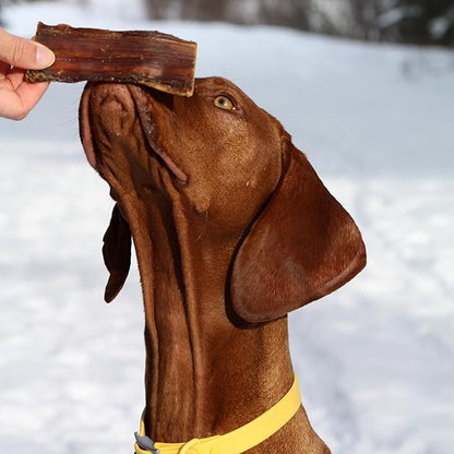 Cadet 100% Beef Strip Long Lasting Chews for Dogs, Single Ingredient Beef Esophagus Dog Treats, Natural High Protein Rawhide Alternative for Small & Large Dogs, 8 Ounce
