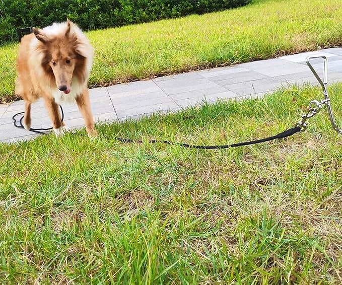 Tie Out Rope Dog Leash, Long Tether 8-10-13-15-20-25-30-35-40-50-65 FT Heavy Duty Nylon Check Cord for Medium Large Dogs 20FT Indoor/Outdoor Playing Camping Backyard (Black, 3/8")