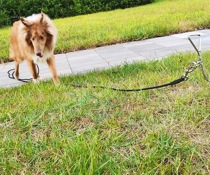 Tie Out Rope Dog Leash, Long Tether 8-10-13-15-20-25-30-35-40-50-65 FT Heavy Duty Nylon Check Cord for Medium Large Dogs Indoor/Outdoor Camping Backyard (Black, 3/8" x 15ft)