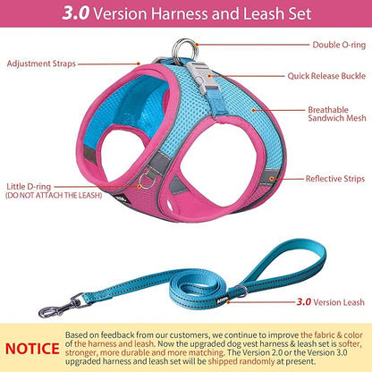 AIITLE No Pull Dog Harness and Leash Set, Step in Adjustable Dog Harness with Padded Vest for All Weather, Dog Leash with Soft Padded Handle, Easy to Put on Small and Medium Dogs Hot Pink S