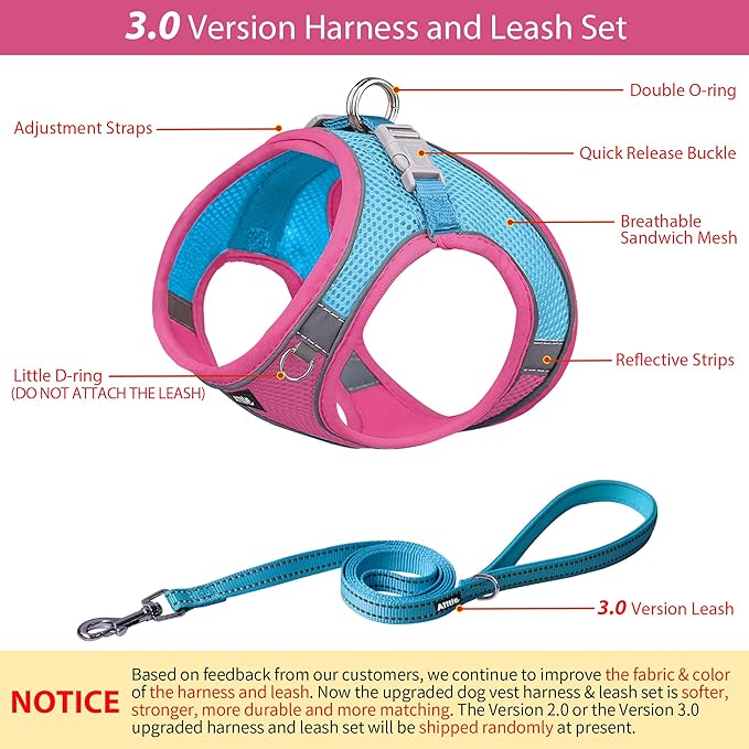 AIITLE Small Harness for Puppy with A Leash - Dog Vest Harness with Super Breathable Mesh, Reflective No-Pull Pet Harness for Outdoor Walking, Running for Small Dogs, Cats Hot Pink XXS