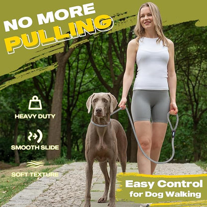 Fida Durable Slip Lead Dog Leash, 6 FT x 3/8" Heavy Duty Comfortable Strong Rope Slip Lead for Small Dogs and Puppies, No Pull Pet Training Leash with Highly Reflective(3/8", Grey)