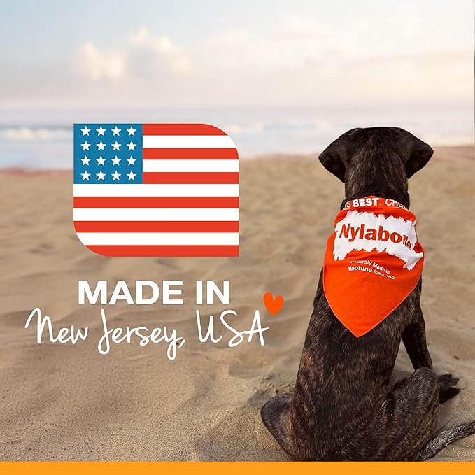 Nylabone Nubz Wild Natural Edible Chew Treats for Dogs, Made in USA, Bison Flavor, Small - Up to 25 lbs. (4 Count) (Pack of 2)