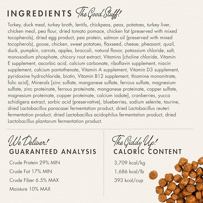 Fromm Four-Star Nutritionals Game Bird Dog Food - Premium Dry Dog Food - Turkey Recipe - 12 lb
