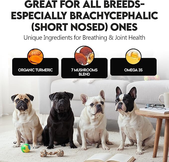 Mushroom Supplement for Dogs – Turkey Tail Mushroom for Dog Immune Support, Digestion, Allergies & Longevity with Omega3 & Turmeric | for Dogs Lumps and Bumps | French Bulldog Optimized