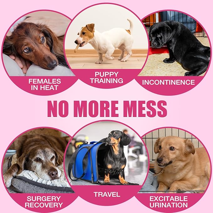 Dono Disposable Dog Diapers Female, Super Absorbent Doggie Diaper, Rapid-Dry Gel Technology Puppy Diapers, Leak-Proof Fit for Doggy Cat in Heat, Excitable Urination, Incontinence, Large