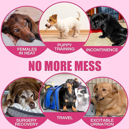 Dono Disposable Dog Diapers Female, Super Absorbent Doggie Diaper, Rapid-Dry Gel Technology Puppy Diapers, Leak-Proof Fit for Cat Doggy in Heat, Excitable Urination, Incontinence, X-Small