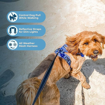 Voyager Dog Harness Dual Leash Attachment No-Pull Control Adjustable Soft but Strong Pet Harness for Medium and Large Dogs with 3M Reflective Technology, Leash Set Royal Nylon, S (Chest: 16-20")
