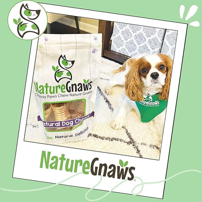 Nature Gnaws Beef Trachea Chews for Dogs 3" (12 Count) - Long Lasting Natural Crunchy Dog Chew Bones - Rawhide Free
