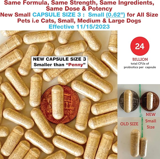 Azovast Plus Kidney Probiotic Supplement for Dogs Cats -24 Billion CFU- NO Refrigeration Required, Help Support Kidney Function, CKD, Manage Renal Toxins, Renal Kidney Support for Pet(U.S.A)(120 Caps)
