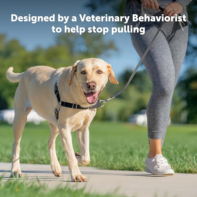 PetSafe Easy Walk Harness for Dogs - Pull-Free Walks - Patented Martingale Loop Design - Front Chest Leash Attachment - Comfort Straps - Breathable Harness Design - Small, Royal Blue/Navy Blue
