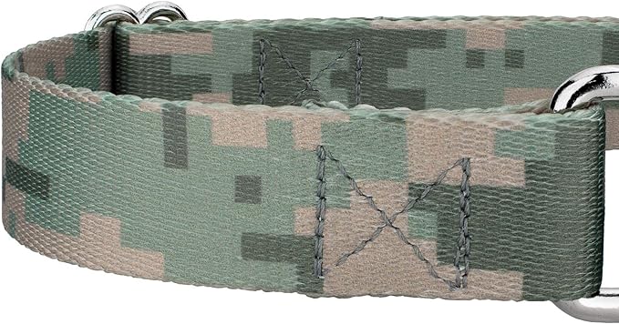 Country Brook Petz - Digital Camo Martingale Dog Collar and Leash Limited Edition - Camouflage Collection Featuring Rugged Designs (5/8 Inch, Small)