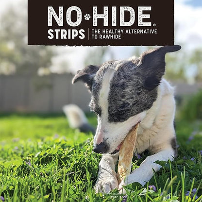 Earth Animal No Hide Strips - Natural Rawhide Free Dog Chew Strips, Barbeque Smoked Chicken & Turkey - 4 Count