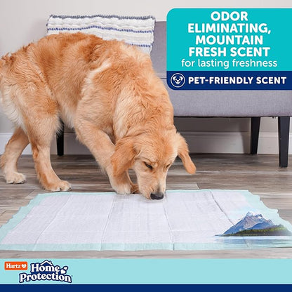 Hartz Home Protection Super Absorbent Odor Eliminating Mountain Fresh Scented No Leaks Dog Pads, XXL 60 Count