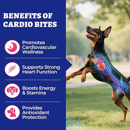 Wellix 260 Bites Cardio Taurine for Dogs - Heart Supplements for Dog Chews with CoQ10,Fish Oil,L-Carnitine - Senior Heart Health and Cardiovascular & Antioxidant Support