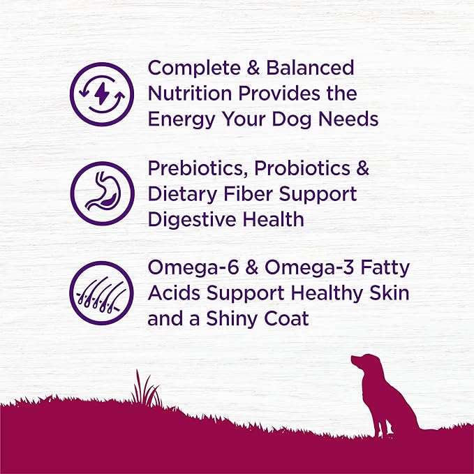 Wellness Complete Health Small Breed Adult Dry Dog Food, Wholesome Grain Kibble, Natural, Turkey and Oatmeal Recipe, 4 lb Bag