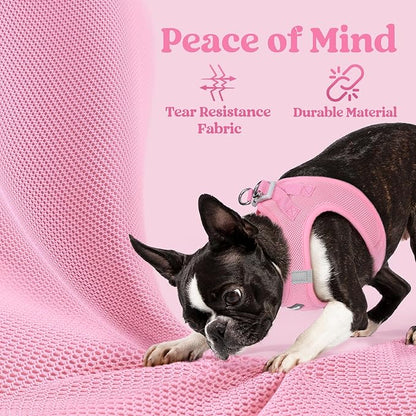 rabbitgoo Small Dog Harness, Step-in Soft Mesh Puppy Vest with Safety Buckle, Breathable Reflective Pet Harness for Small Medium Dogs, Light Pink XL