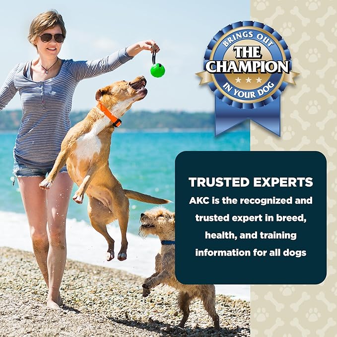 American Kennel Club Lil Champs Soft & Moist Training Treats, Turkey Flavor, All Breed Sizes, 12 Ounces