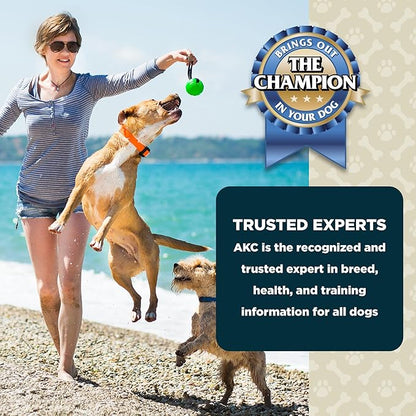 American Kennel Club Lil Champs Soft & Moist Training Treats, Turkey Flavor, All Breed Sizes, 12 Ounces
