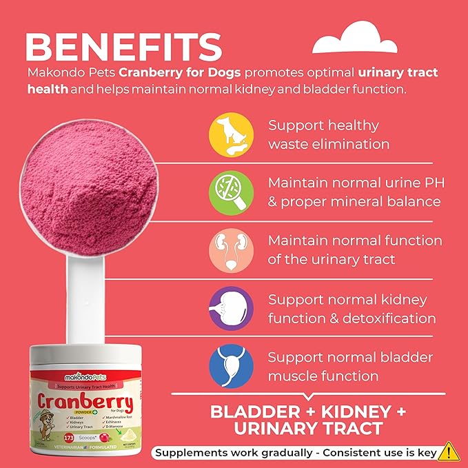 Cranberry for Dogs in Powder - Urinary Tract Health, Dog UTI, Bladder Support, Bladder Stones, Incontinence Support, Cranberry Supplement - Bacon Flavor (2-Pack, 200 Grams)