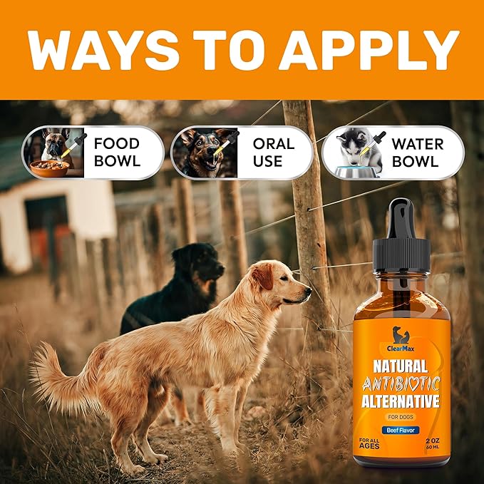 Natural Antibiotics for Dogs for Allergies, Infections, Coughs, Digestive Moments – Dog Antibiotics with Beef Flavor May Support Urination and Breathing – Organic Composition with Cranberry – 2 Oz