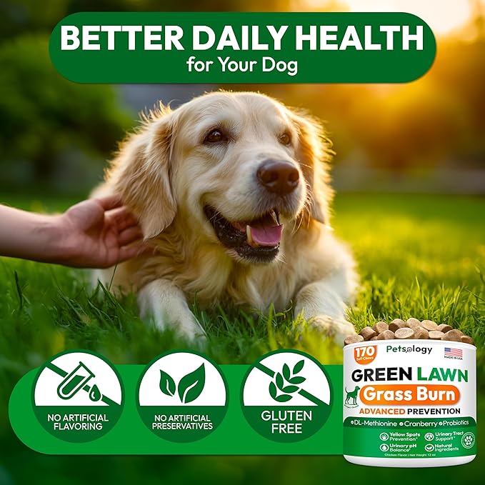 Dog Urine Neutralizer for Lawn - 170 Green Lawn Chews for Dogs - Pee Grass Burn Spot Saver Caused by Dog Urine with Probiotics & Digestive Enzymes - Advanced Gut Health Supplement, Rocks