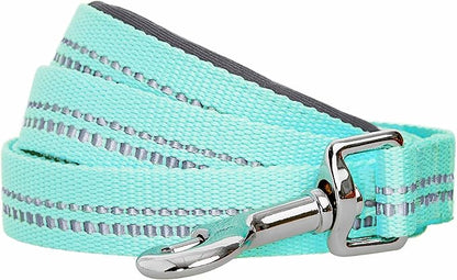 Blueberry Pet 3M Reflective Pastel Color Dog Leash with Soft & Comfortable Handle, 5 ft x 5/8", Mint Blue, Small, Leashes for Dogs