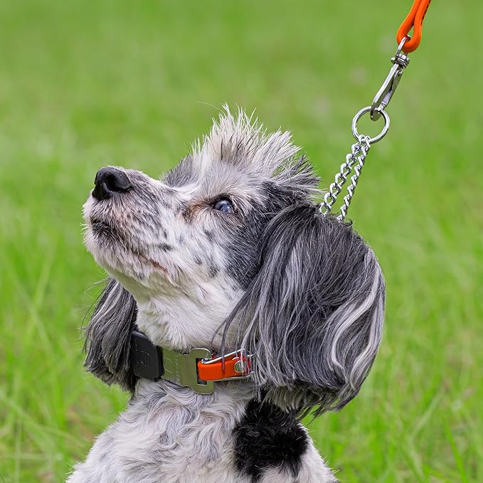 Herm Sprenger Chrome Plated Steel Dog Collar with Quick Release ClicLock Buckle O-Ring Biothane Insert Training Collar Made in Germany (Hunter Orange, 16in x 2.25mm(Neck Size up to 13-14in))